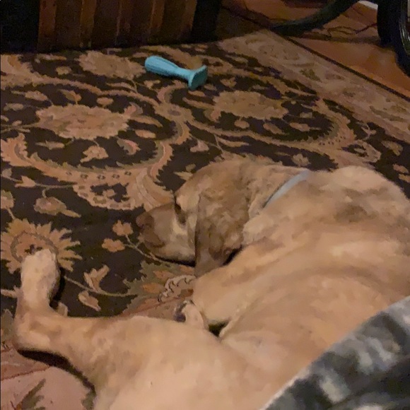 Meet your Posher, Kerry - Picture 1 of 1